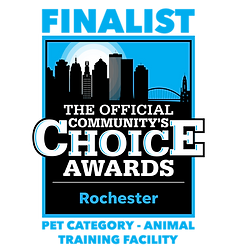 FINALIST (RCA)-01.png