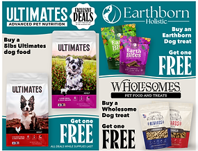 monthly flyer-10.png
