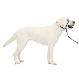 Petsafe Gentle Leader HeadCollar ull Dog Collar 60-130 lb