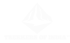 asset 6