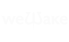 asset 11