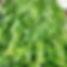 received_1369683610070522.jpeg
