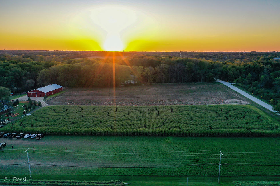 Corn Maze.JPG