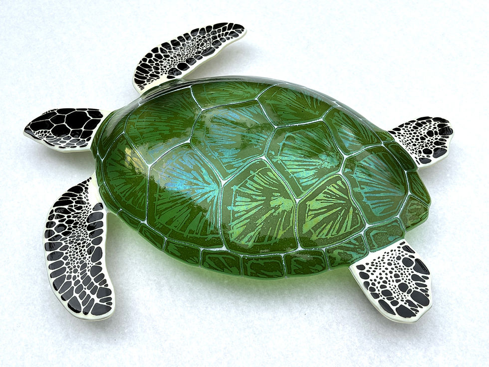 Turtle.1.jpg