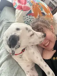 petsitter, chien de refuge, dalmatien en garde chez moi