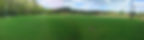 New Grass Field