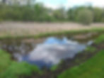 Wetlands Restoration Project