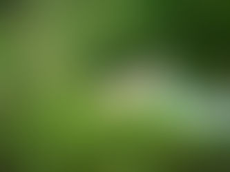 GROWnings: A New School Year - But Not Like Weโve Ever Seen It Before...