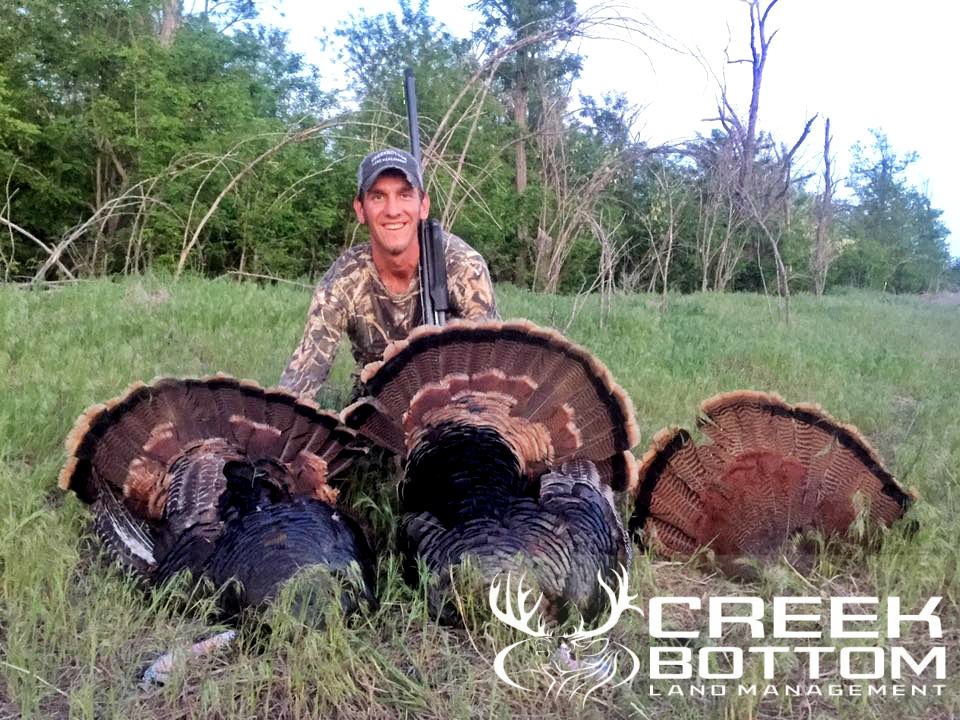 Seth Gade - Kansas Toms