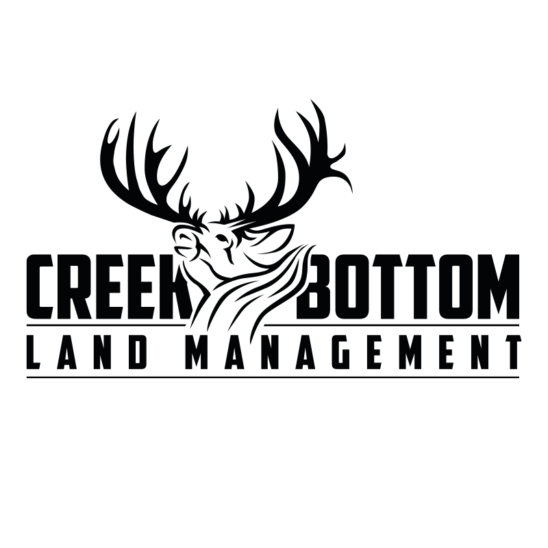 Main Logo Black.gif