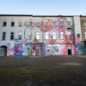 Nahaufnahme eines Wandsegments mit Streetart, abblätternder Fassade und sichtbaren Gebrauchsspuren.