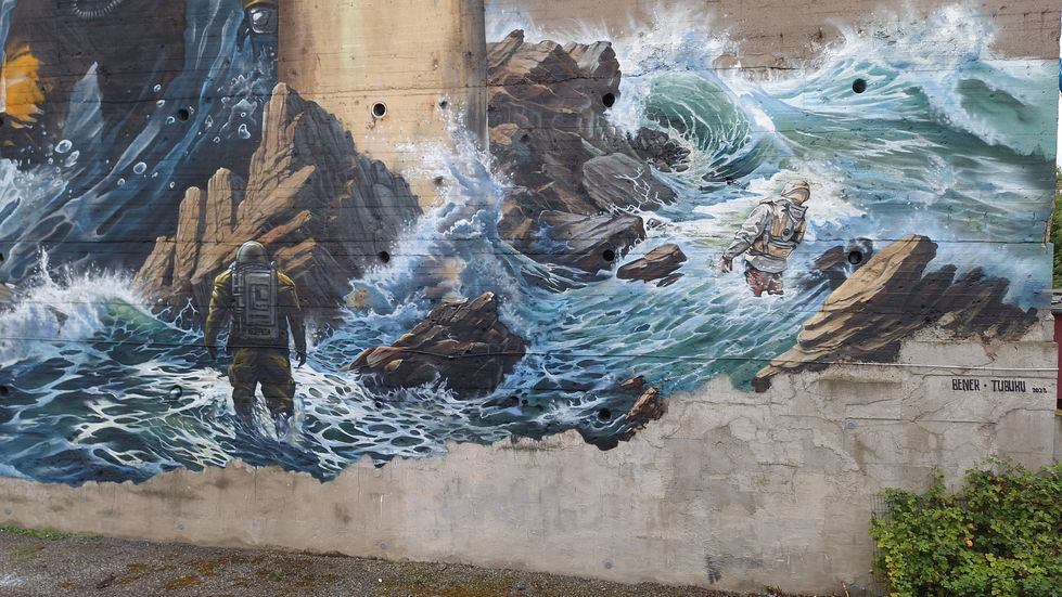 eine Fassaden Malerei von tubuku und bener.