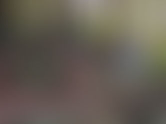 Survival Quest als Teamevent