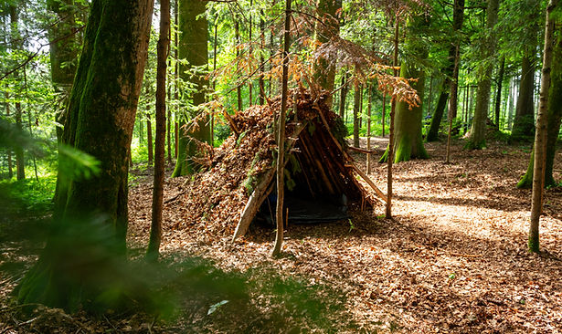 Shelter Survival Weekend