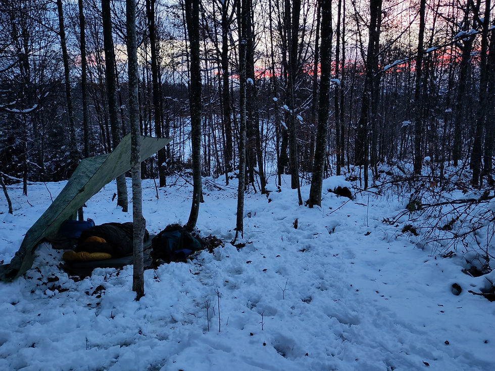 Winter Survival & Bushcraft Overnight