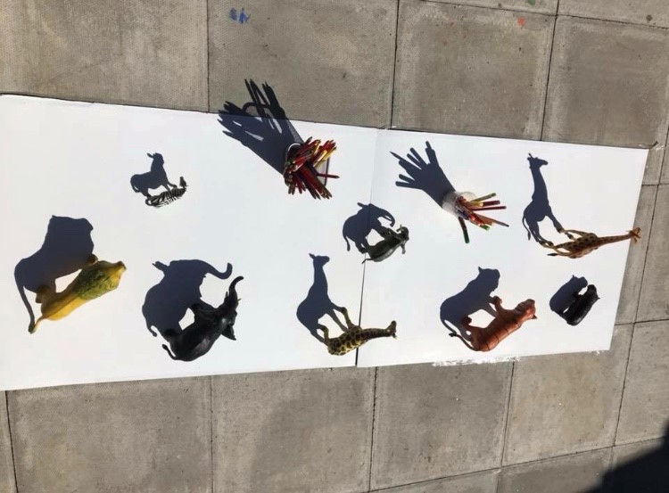 shadow