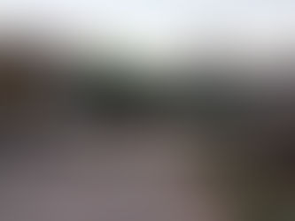 Autobus blockiert Bahngleise