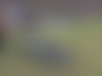 Eine Alarmierung, zwei Einsätze