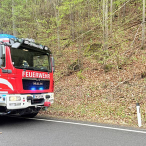 Baum stürzt auf L138