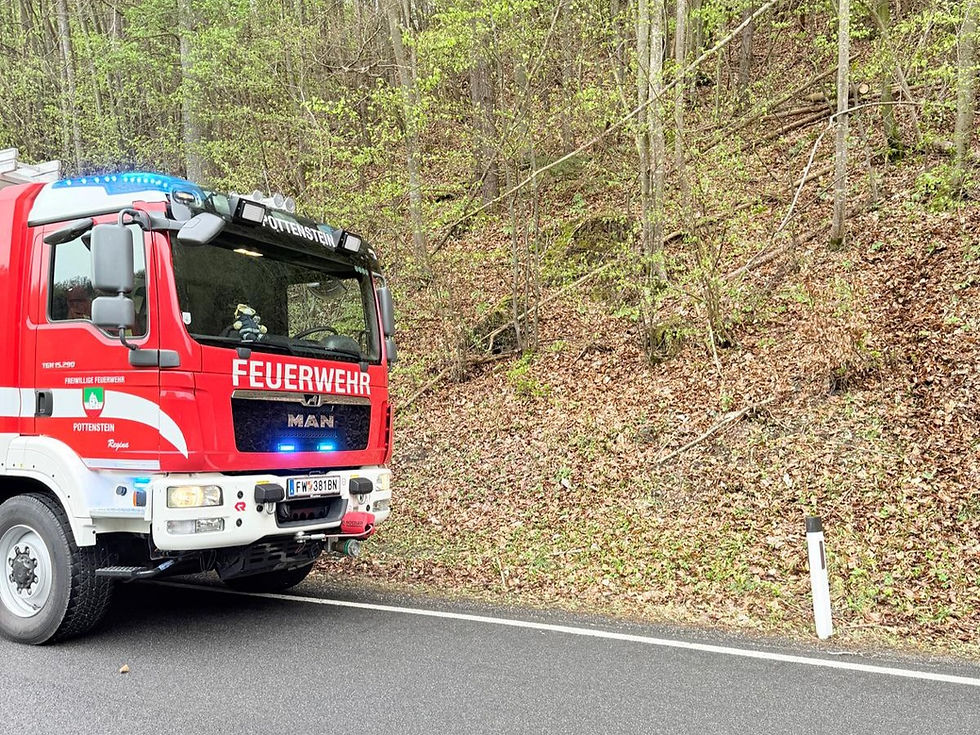 Baum stürzt auf L138