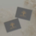 Two grey boxes with golden Olive & Co. tree logo
