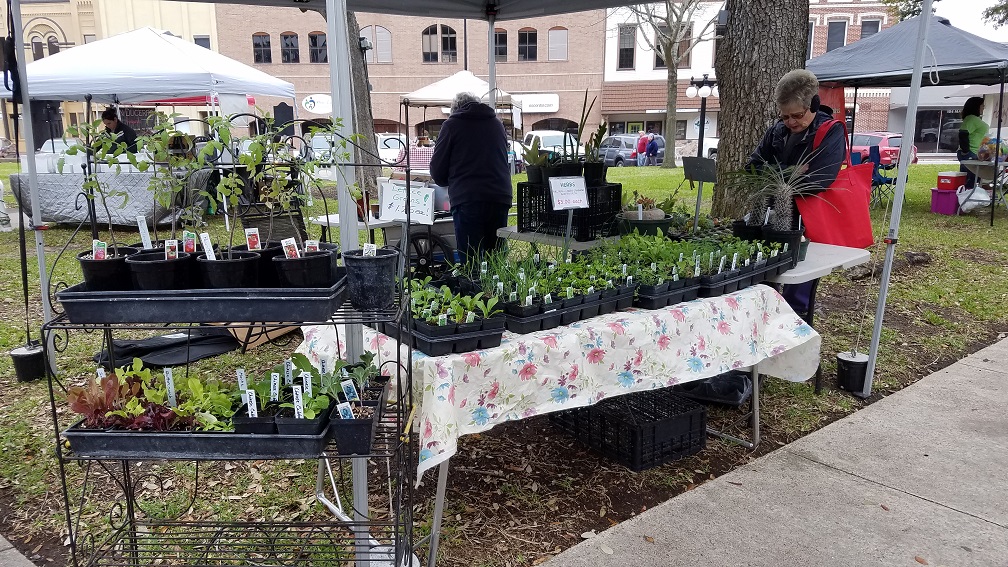 The Herb Cottage Foodbank
