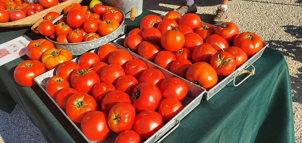 Gary's - tomatoes 2.jpg