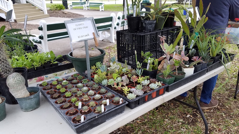 The Herb Cottage Foodbank