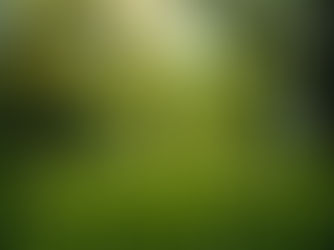 Den Frühling geniessen: Die perfekte Zeit für eine natürliche Entgiftungskur