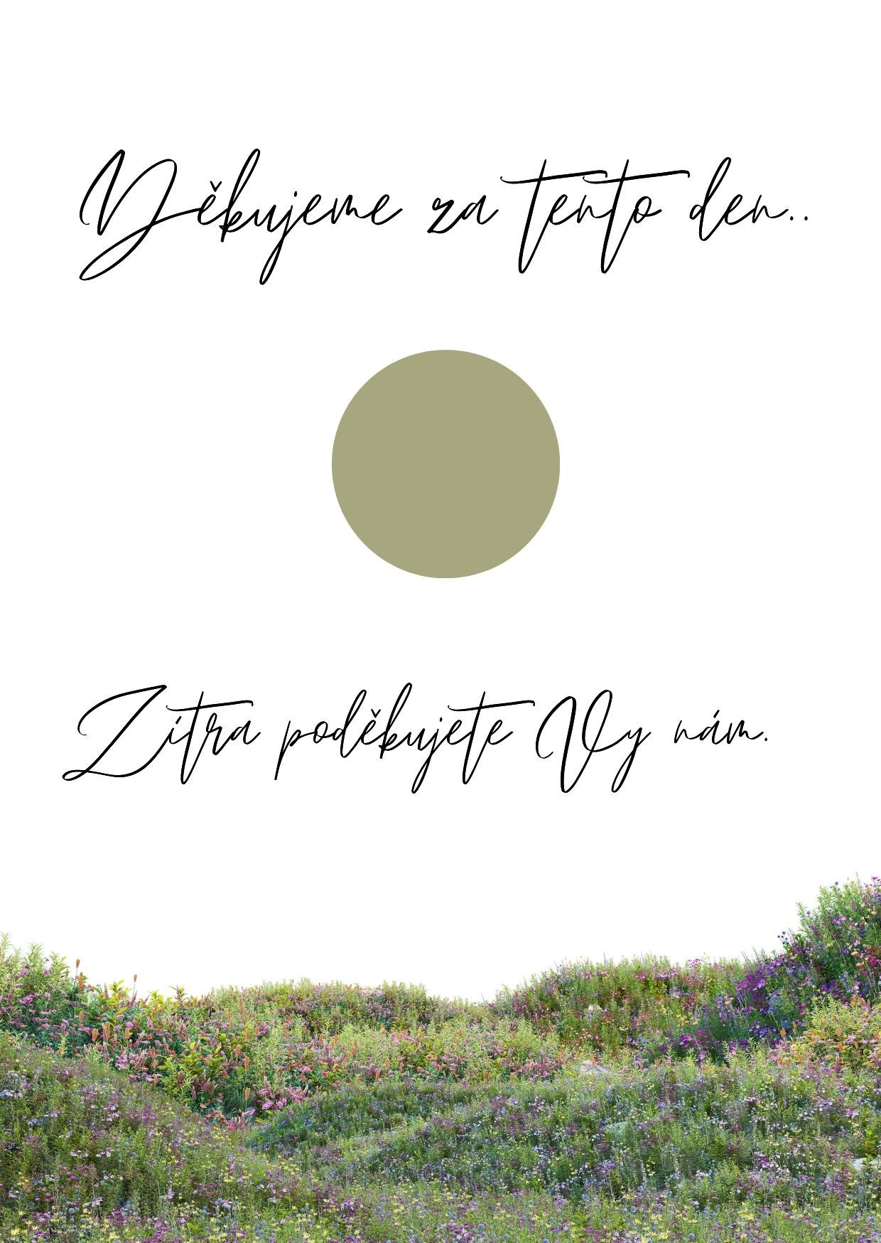 Poděkování hostům - Ibalgin - č.58