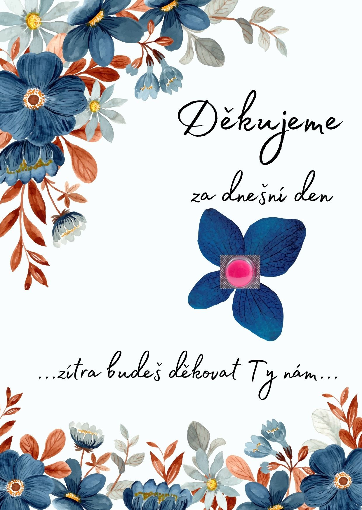 Poděkování hostům - Ibalgin - č.101