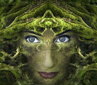 מדיטציה אסטרלית חיבור לכתר