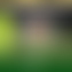 Torres wins AORN Journal Writers Contest