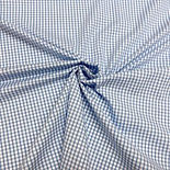 Blue Gingham.jpg