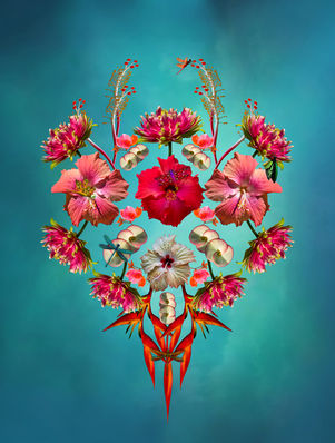 Floral Coral Series - Watermelon Haven