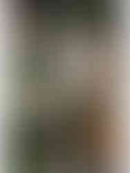 new york forest wedding floral upstate