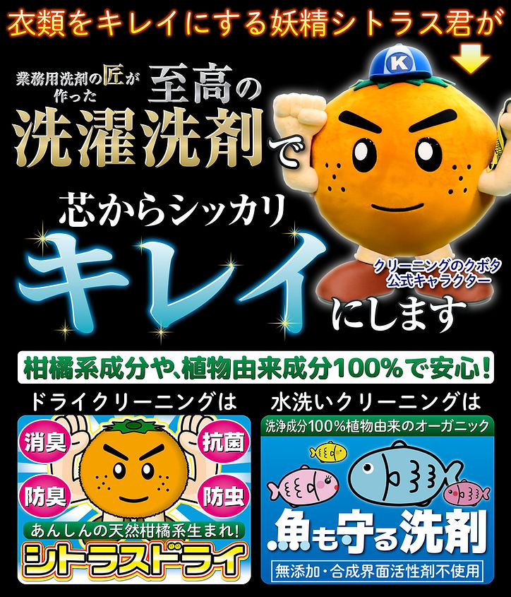 妖精シトラス君.jpg