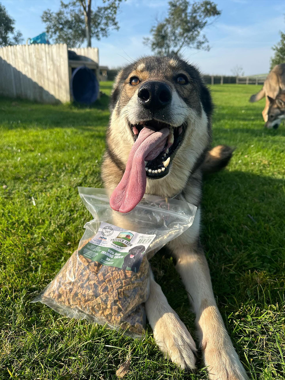 Thumbnail: Training Treats