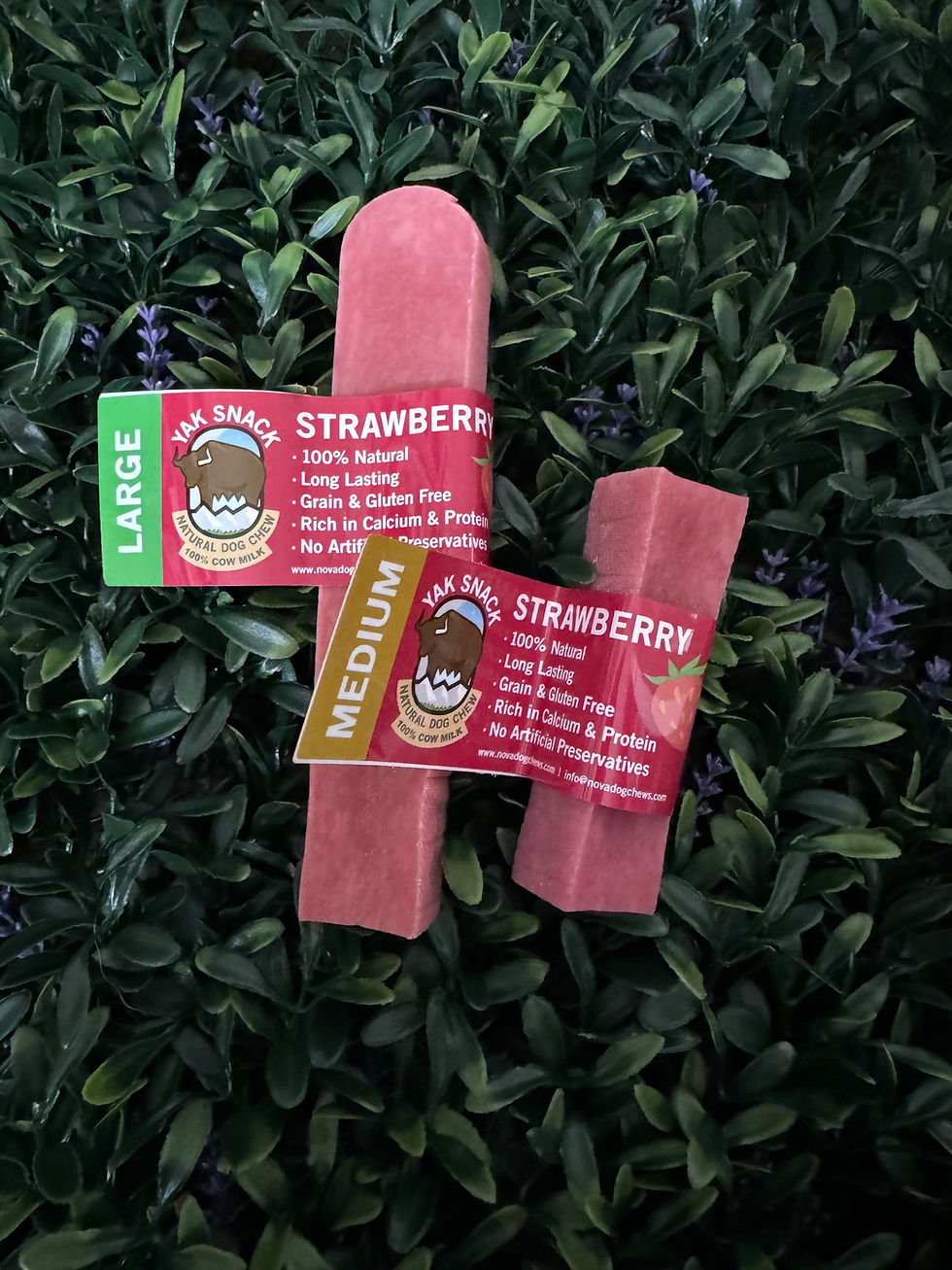 Thumbnail: Flavoured Yak Chew
