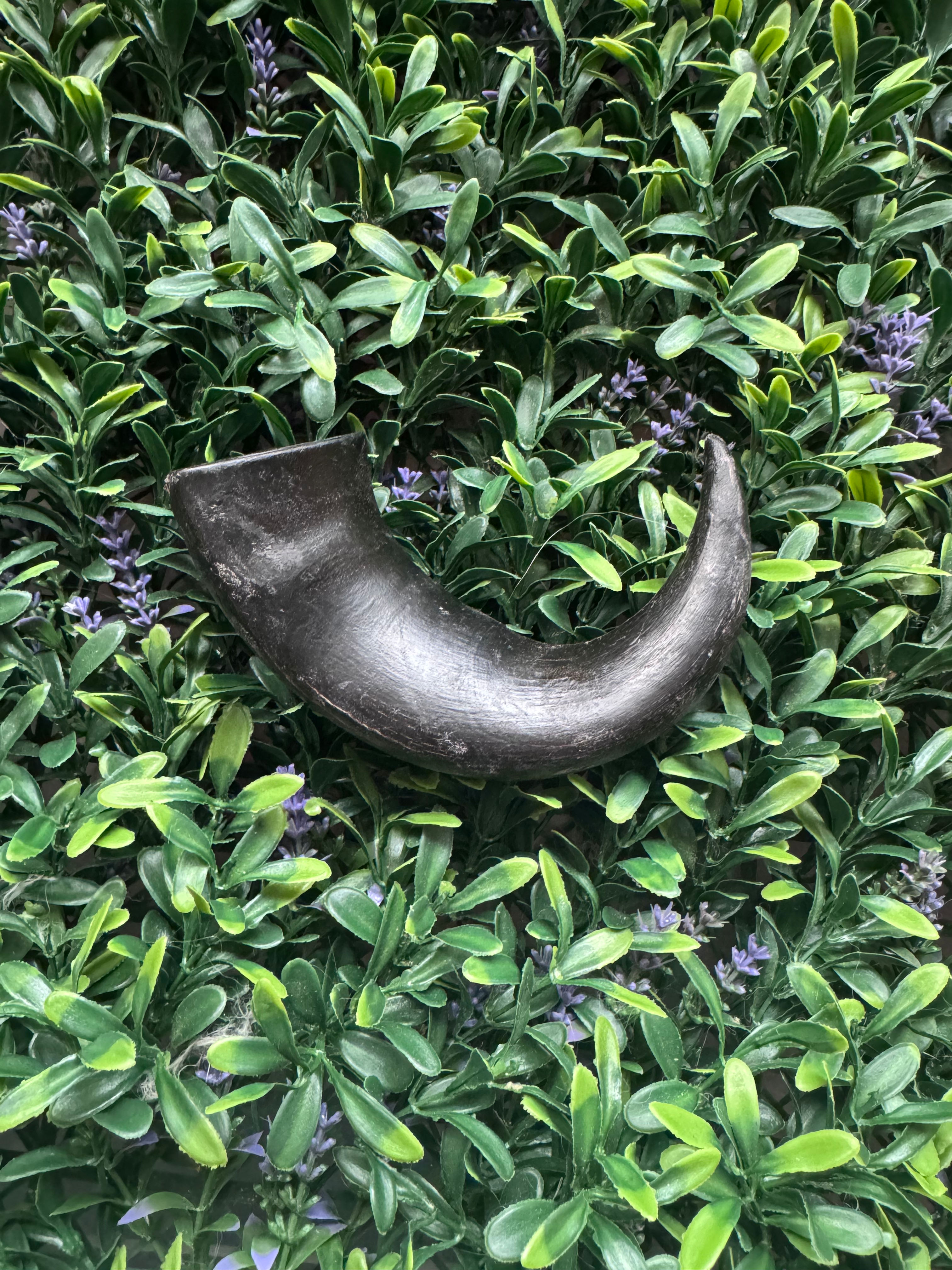 Medium Buffalo Horn