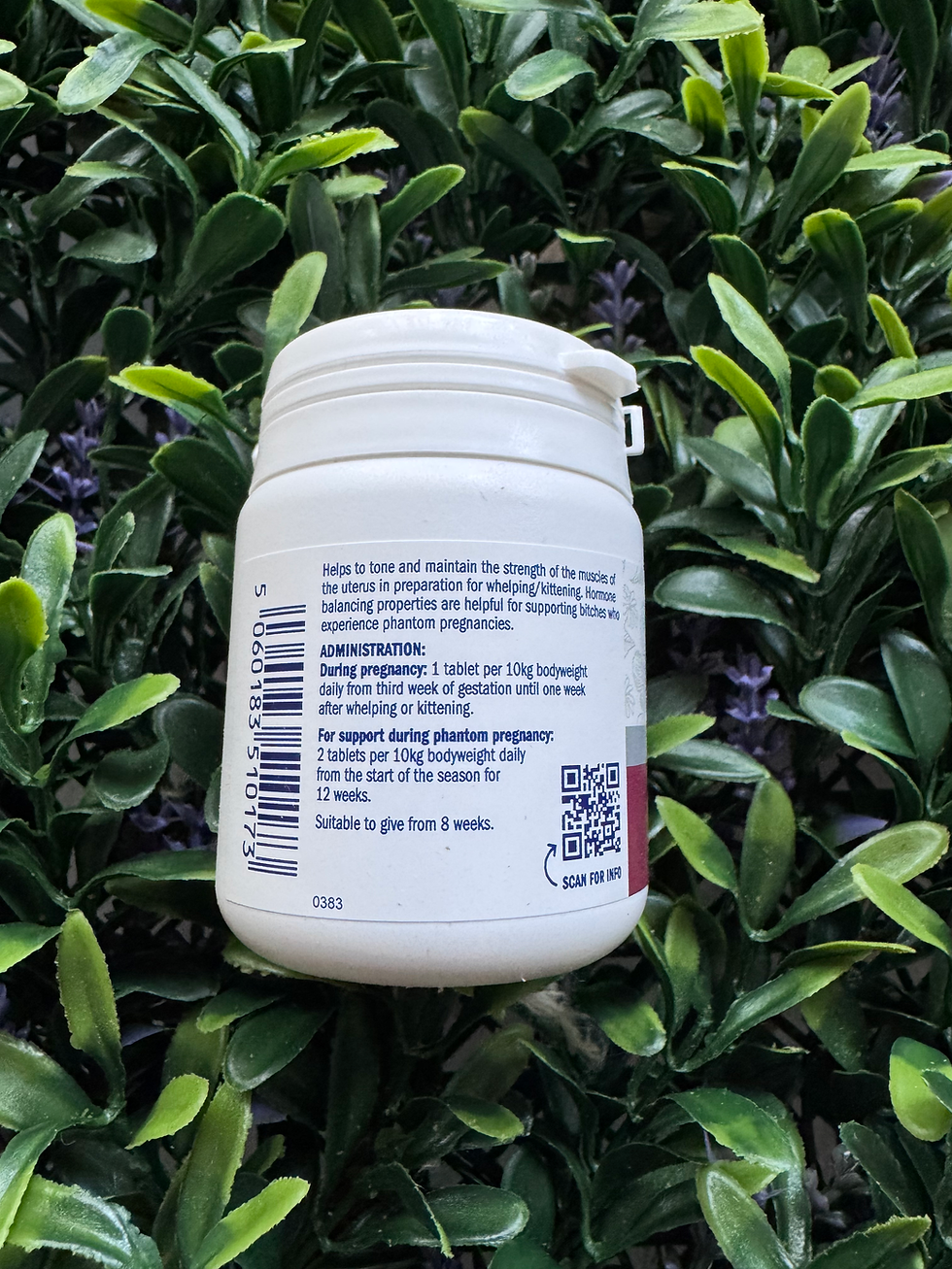 Thumbnail: Dorwest Raspberry Leaf 100 Tablets