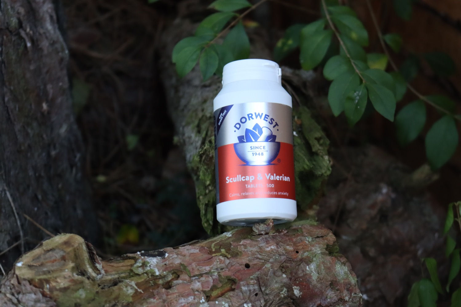 Dorwest Scullcap & Valerian