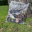 Thumbnail: Hairy Cow Ears Bulk 25 Pack