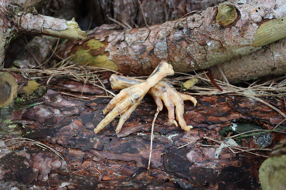 Thumbnail: Chicken Feet