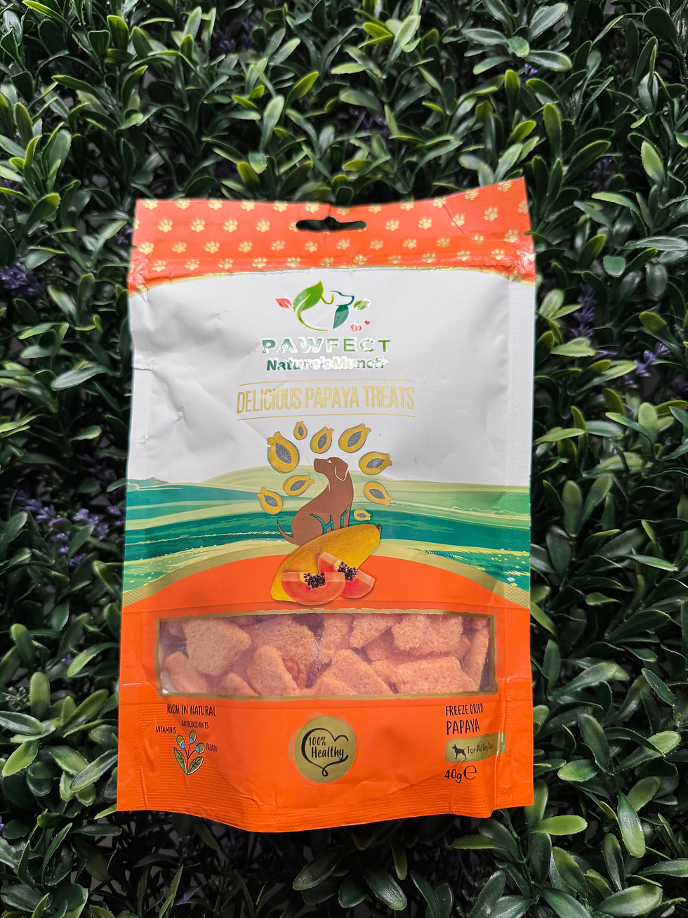 Thumbnail: Freeze Dried Papaya Treats