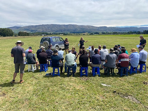 Field Day in Strathconan Stream South Canterbury