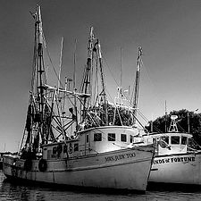 Charleston Lowcountry Photography