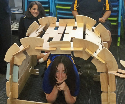 STEM school