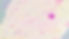 Background03.jpg