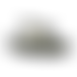 基本技を磨きました